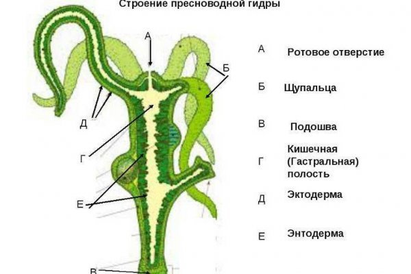 Кракен войти на сайт